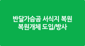 반달가슴곰 서식지 복원 복원개체 도입/방사